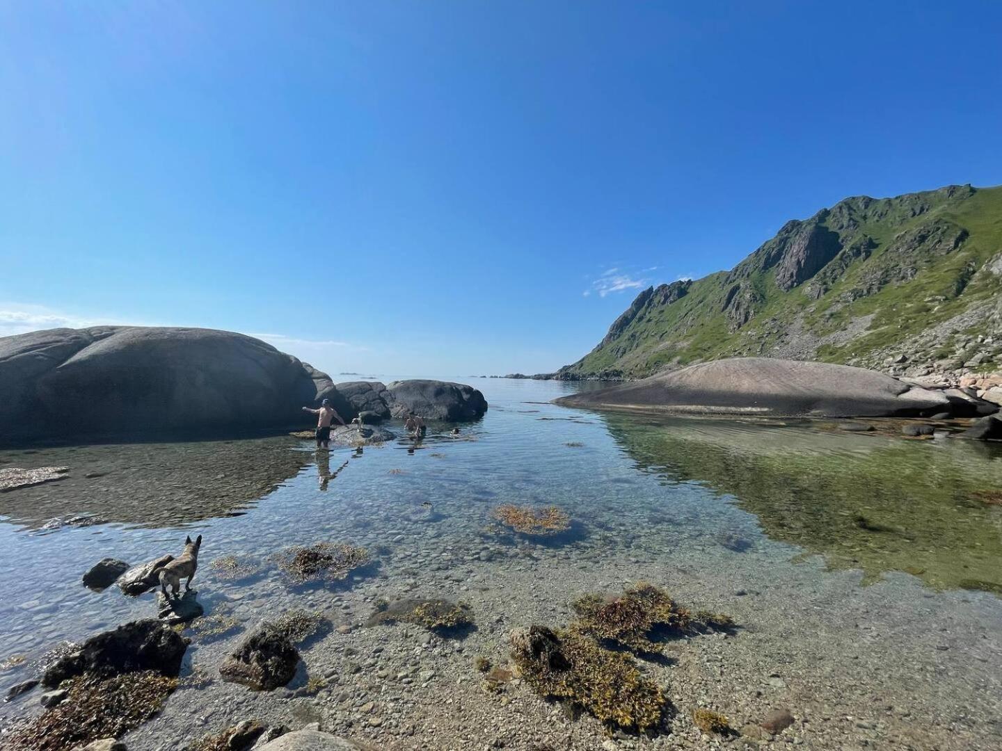 Lofoten Seaview Ballstad Buitenkant foto
